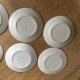 Series of 8 flat plates