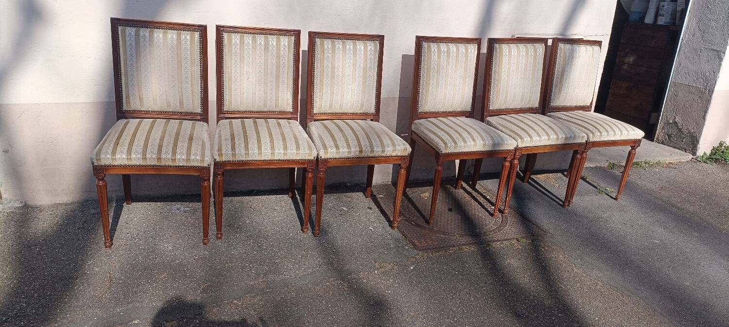 Lot 6 Louis chairs, 16