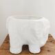 Elephant-shaped cache-pot • Ceramic