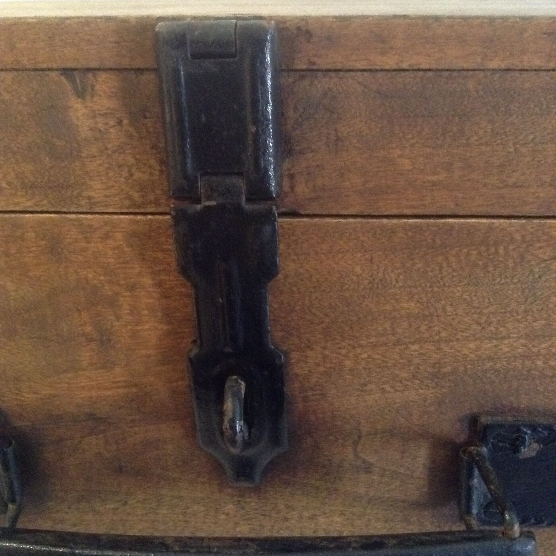 Old suitcase in Woods