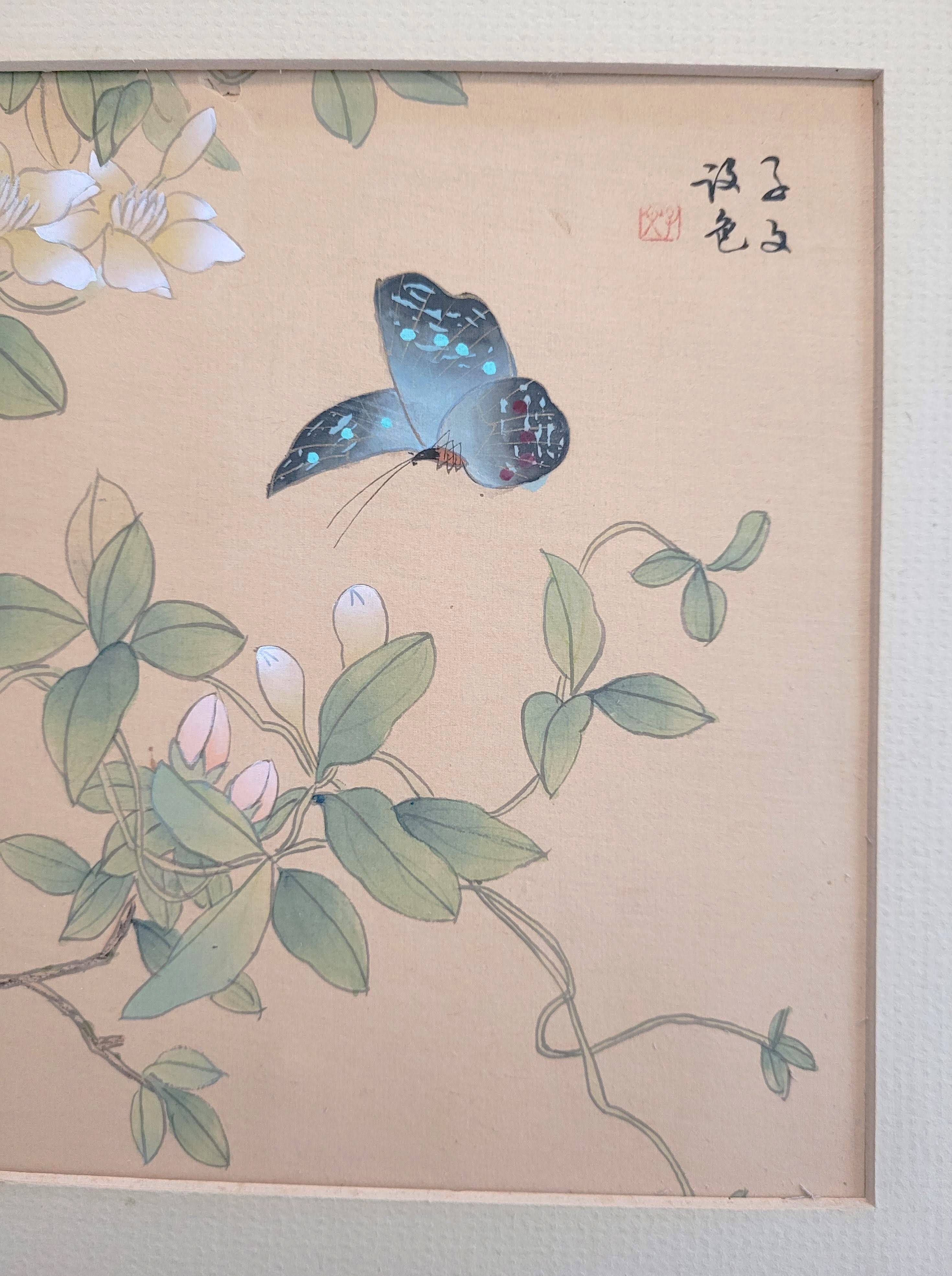 Ancient Chinese painting - Butterfly and flowers