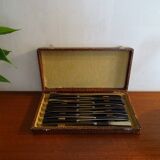 12 vintage dessert knives Pradel horn sleeves in case