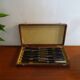 12 couteaux entremets  vintage Pradel manches corne en écrin