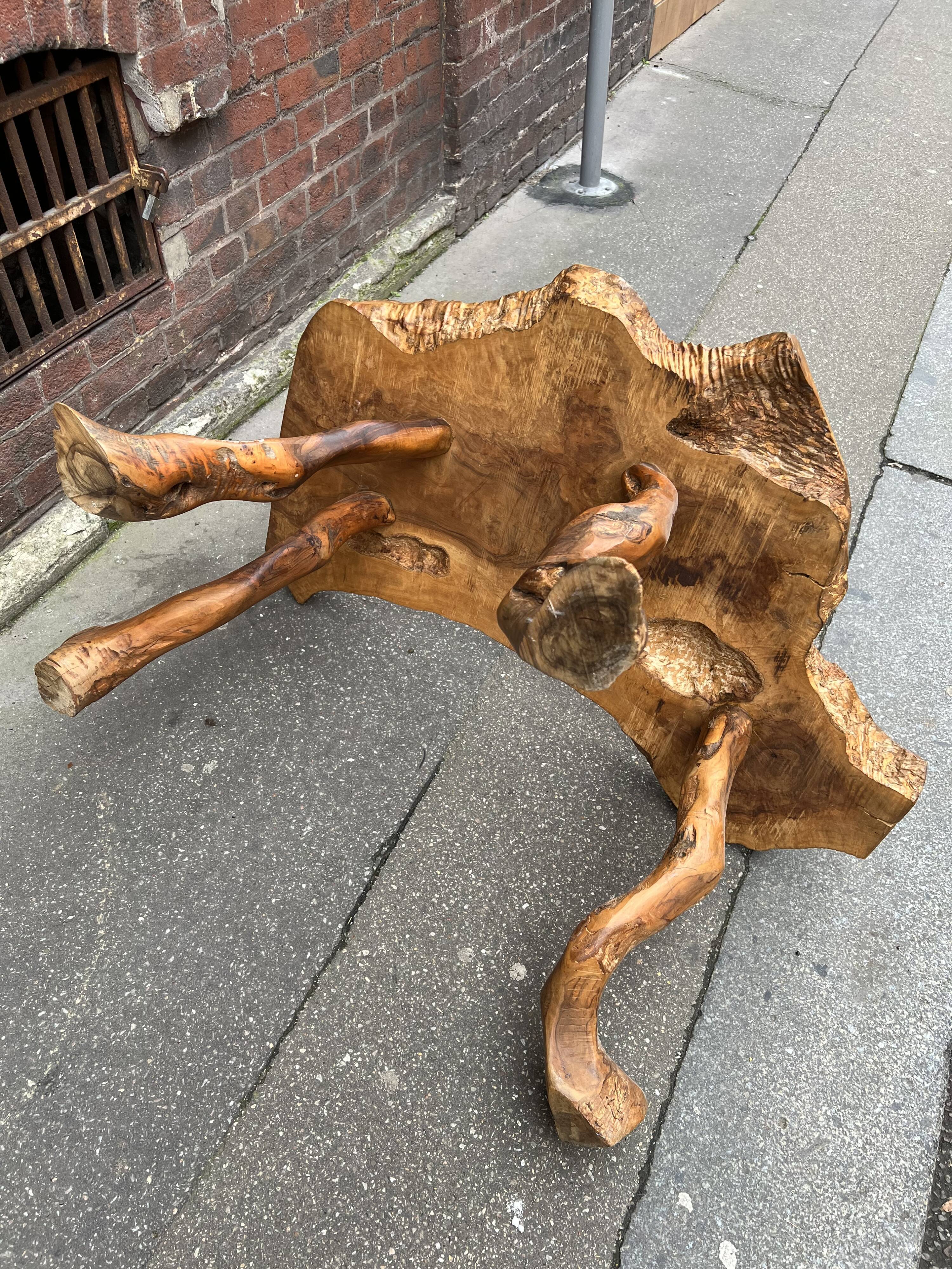 Brutalist coffee table in solid olive tree, period around 1960