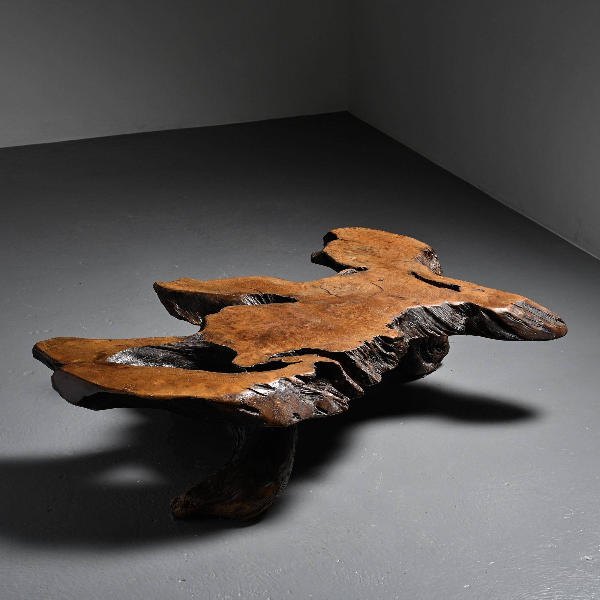 Table basse brutaliste en loupe d'orme, circa 1960