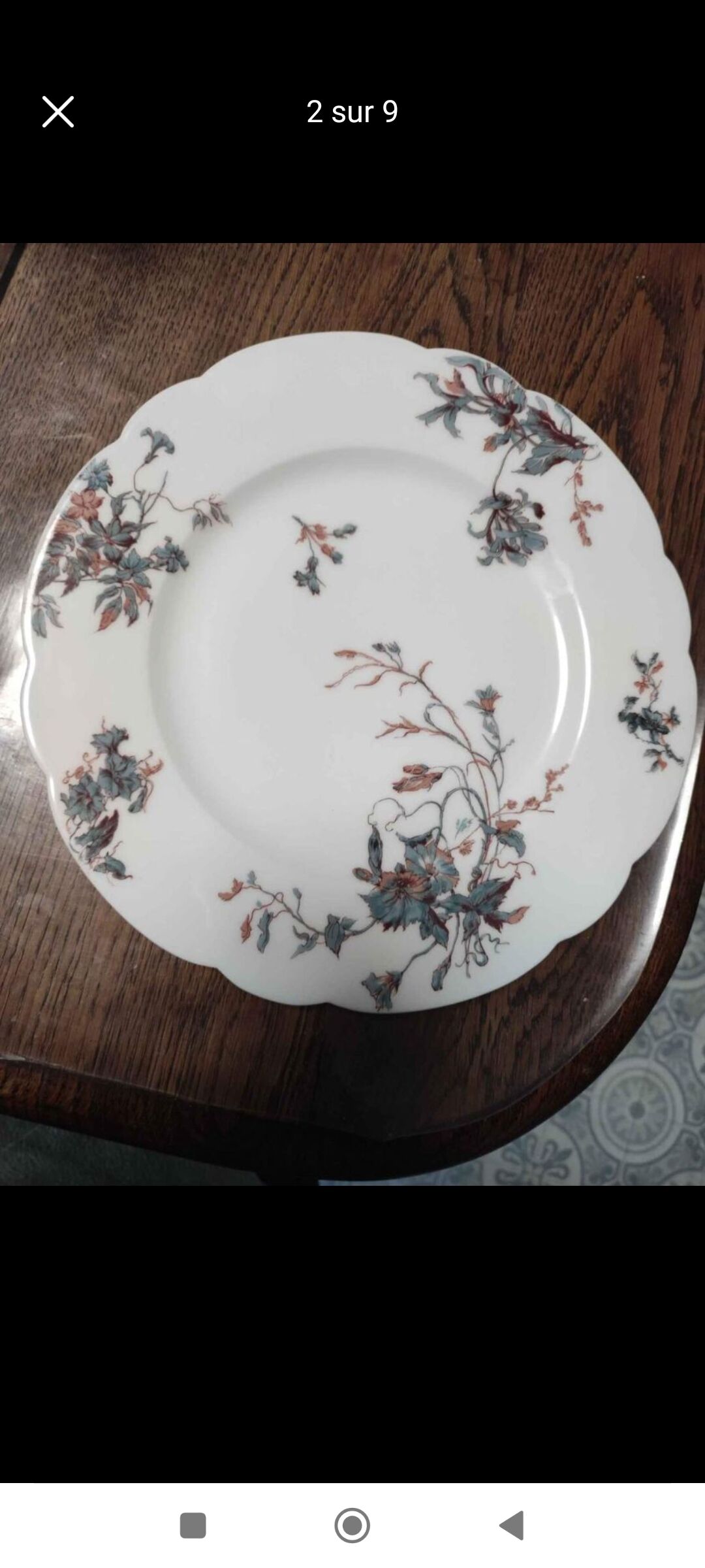 Penin violette porcelain plate in béthune (62)