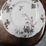 Penin violette porcelain plate in béthune (62)