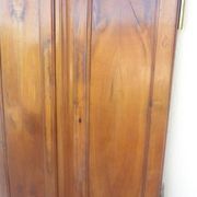 Pair of antique cherry wood cabinet doors from the 19th century in their original part