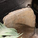 Vintage tree trunk chair