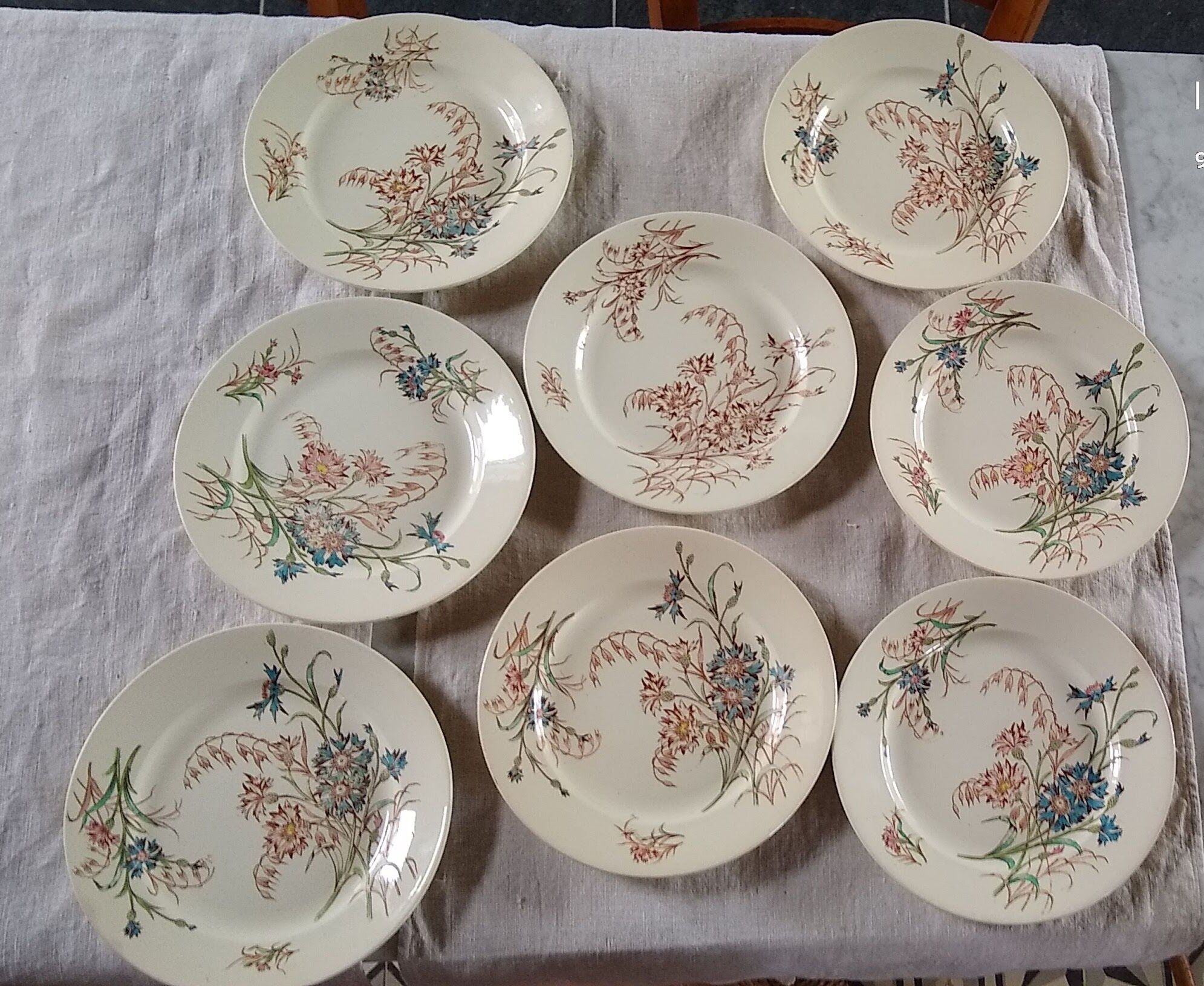 8 flat flowery plates country décor Lunéville Cornflower