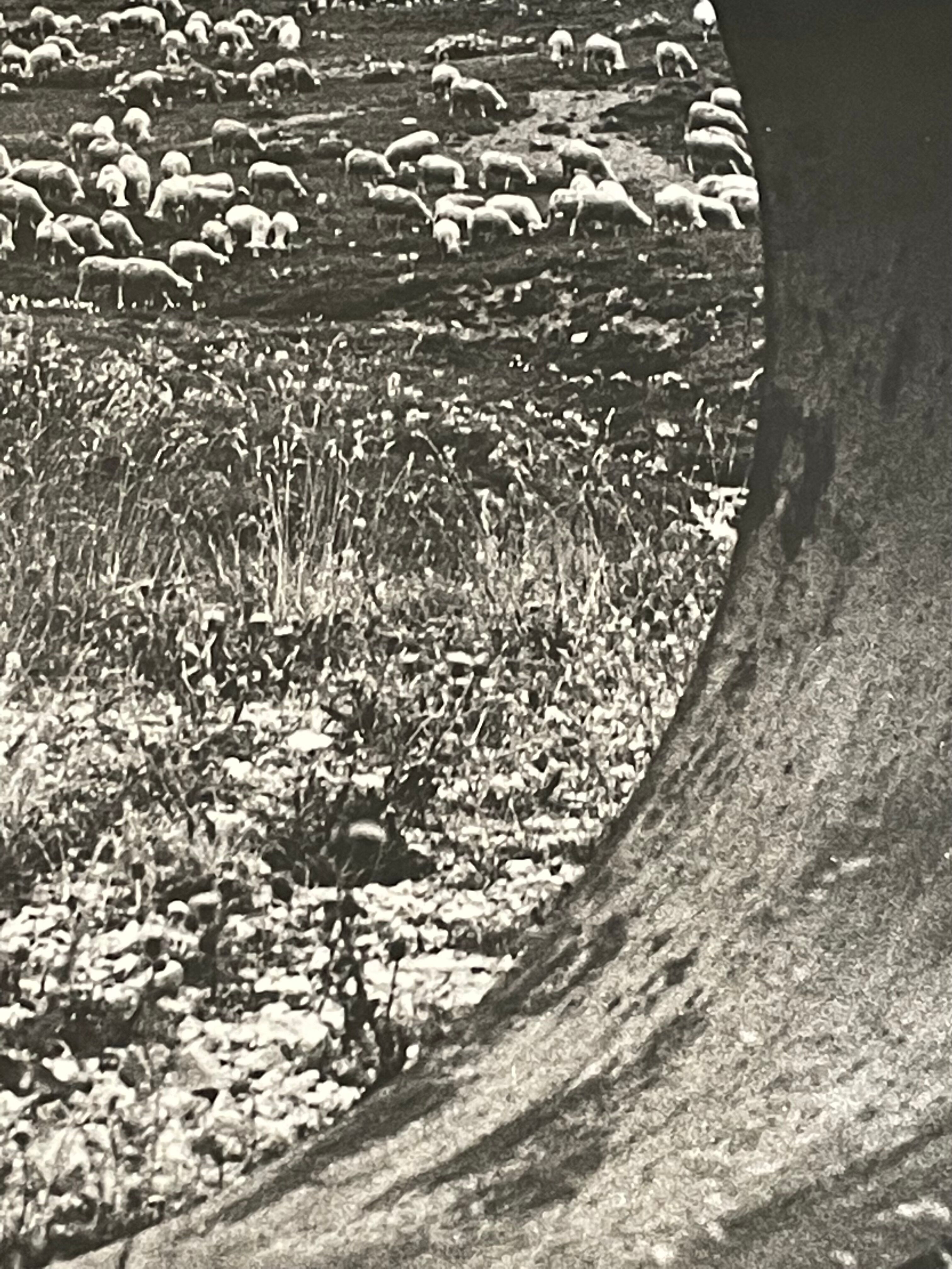 Photograph black and white silver print circa 1970