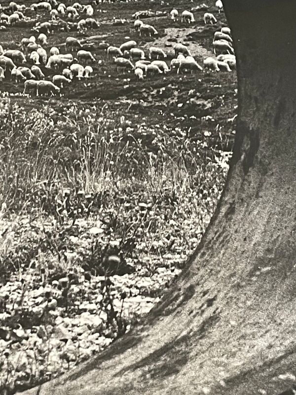 Photographie tirage argentique noir et blanc circa 1970
