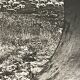 Photograph black and white silver print circa 1970