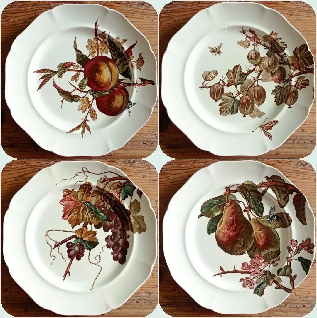 4 assiettes plates Brown-Westhead Moore and Co
