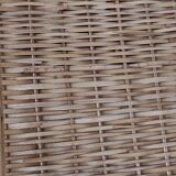 Wicker/rattan appetizer tray