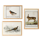 Set of 3 posters on animals
