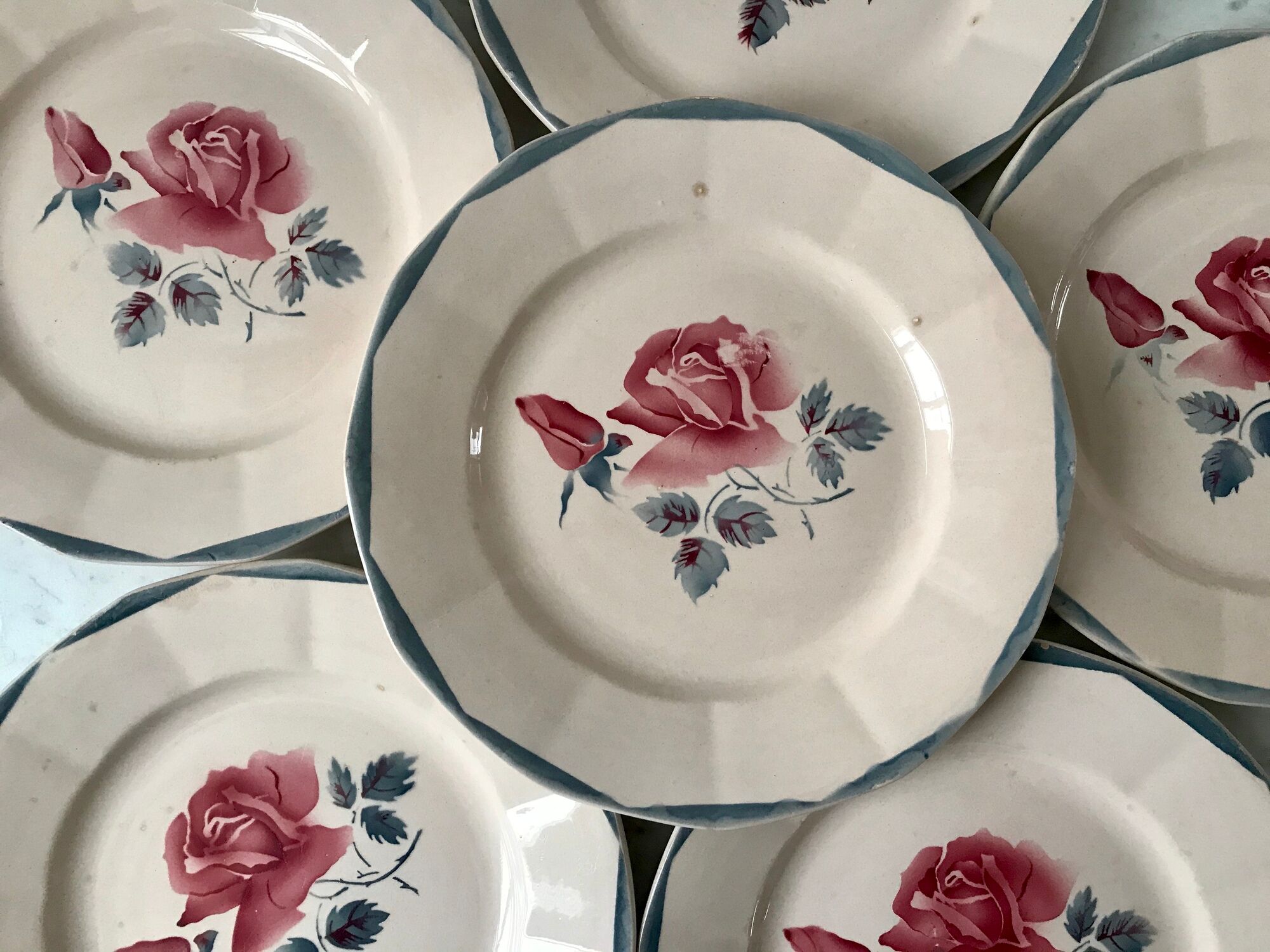 Set of 6 flat plates digoin sarreguemines pink and blue flowers 40s