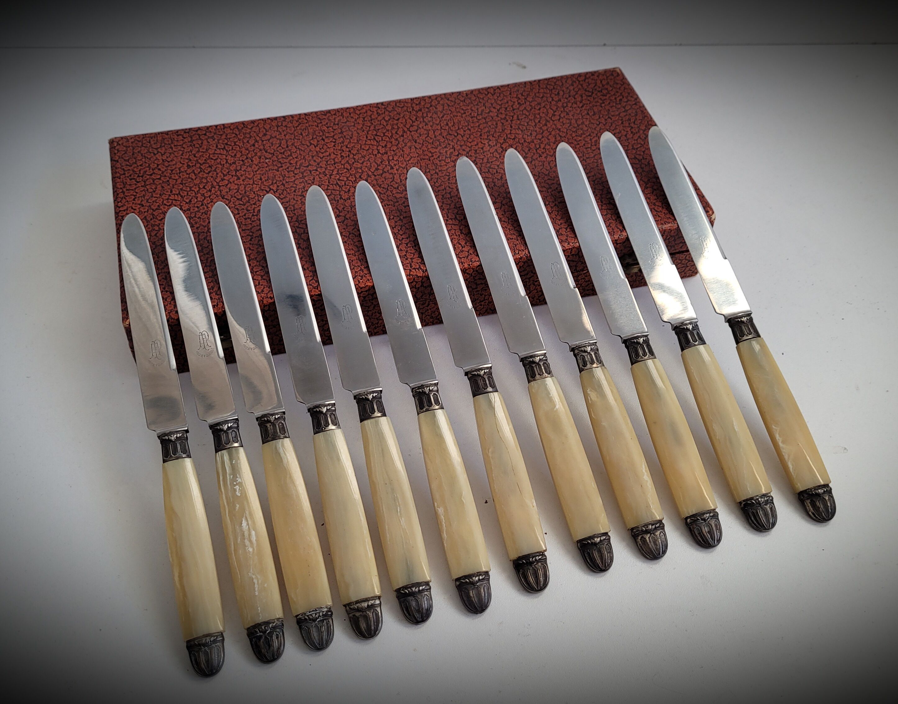 Box 12 horn knives