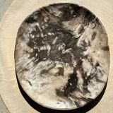 Very large empty pocket or dish in petrified wood