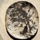 Very large empty pocket or dish in petrified wood