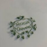 6 Fuchsia Onnaing flat plates