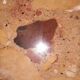 Gueridon d extra marble