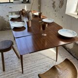 Vintage teak table with extensions, Denmark, 1960
