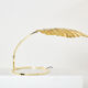 Rhubarb lamp in brass by Tommaso Barbi 1970