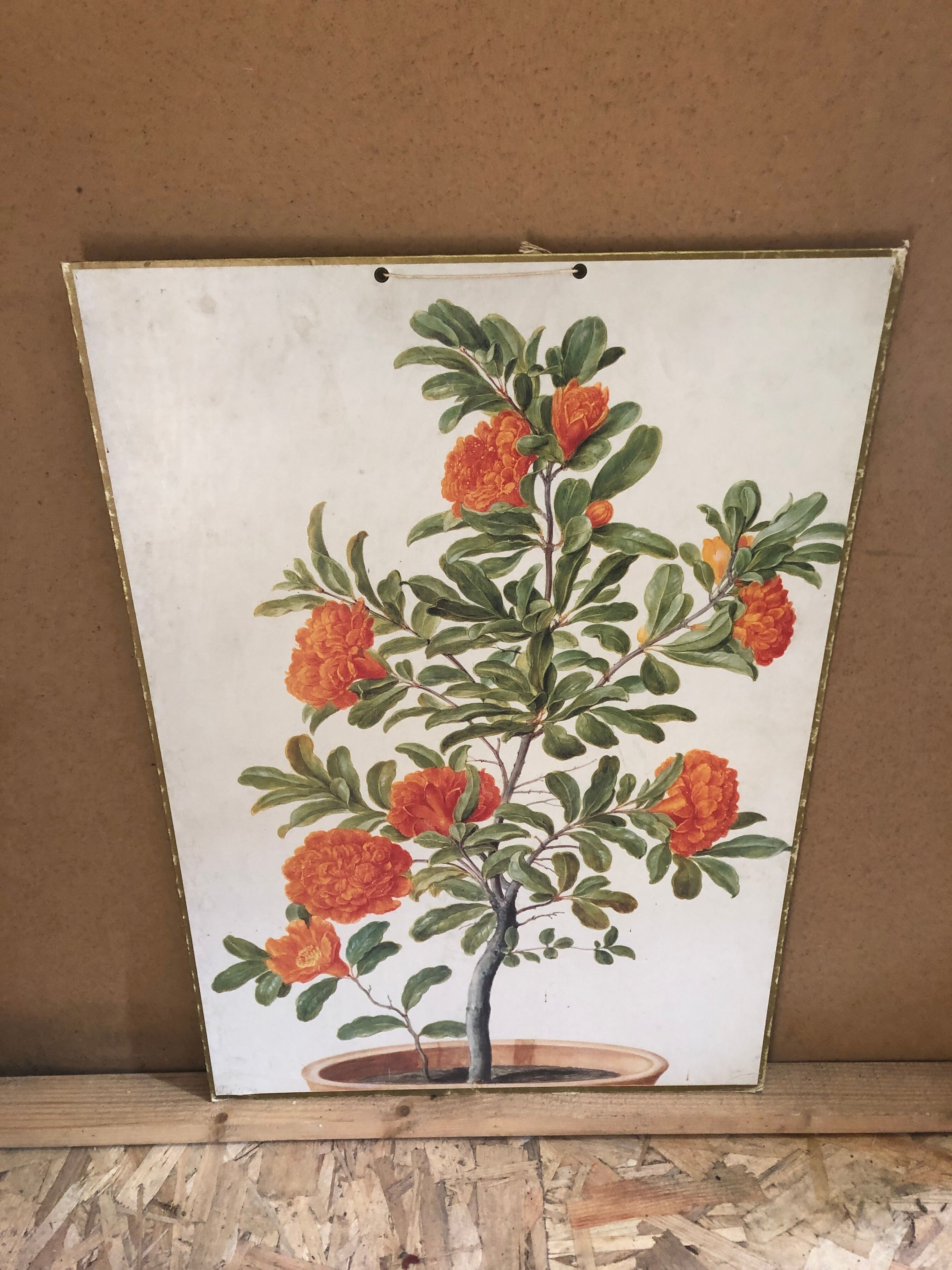Old botanical board bernard carant paris vintage flowers