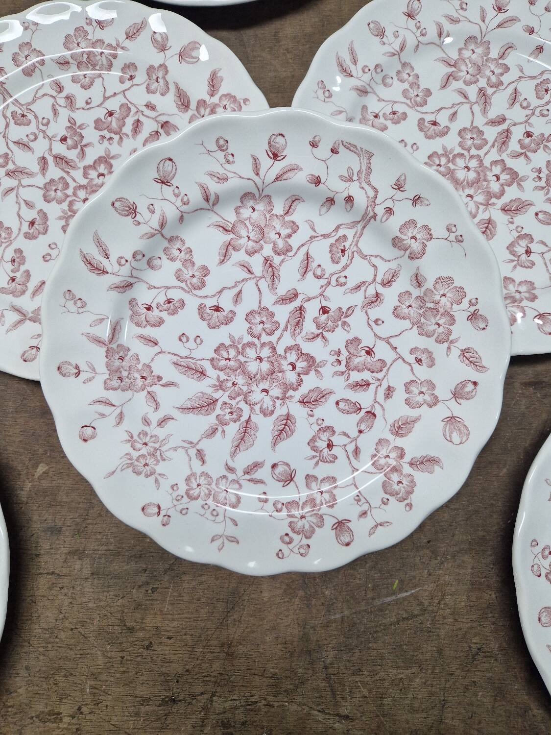 Set of 11 flat plates Nuova Fontebasso Made in Italy Floral pattern