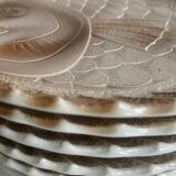 Set of 6 ceramic fish plates – Sarreguemines