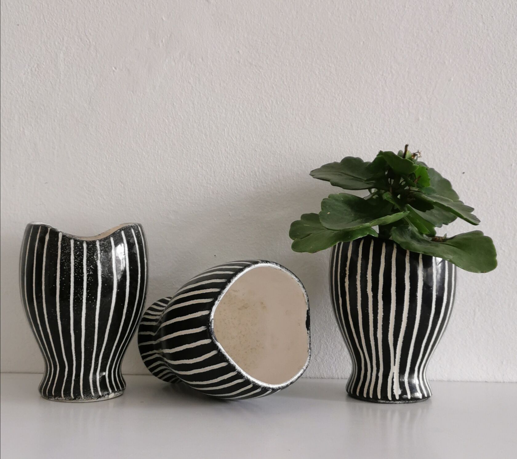 Series of 3 black and white ceramic pots 1950