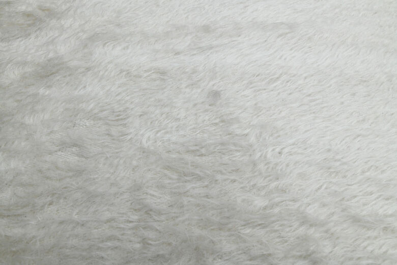 Shaggy Mohair Carpet Hallway