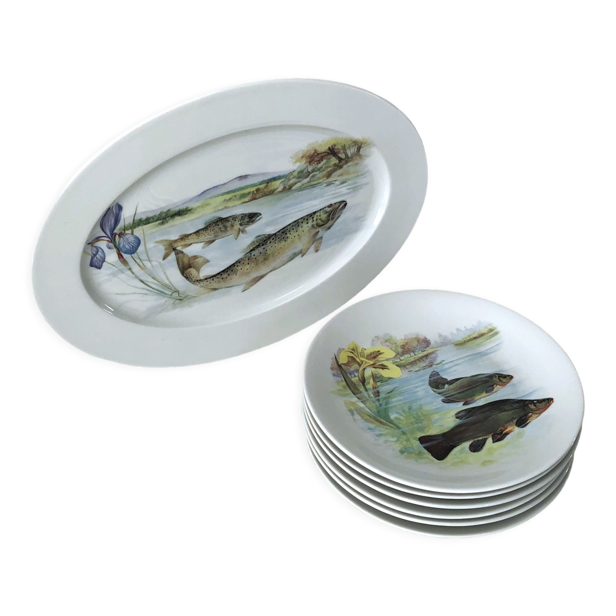 6 plates and 1 fish dish in Limoges porcelain. Freshwater Fish Patterns Service