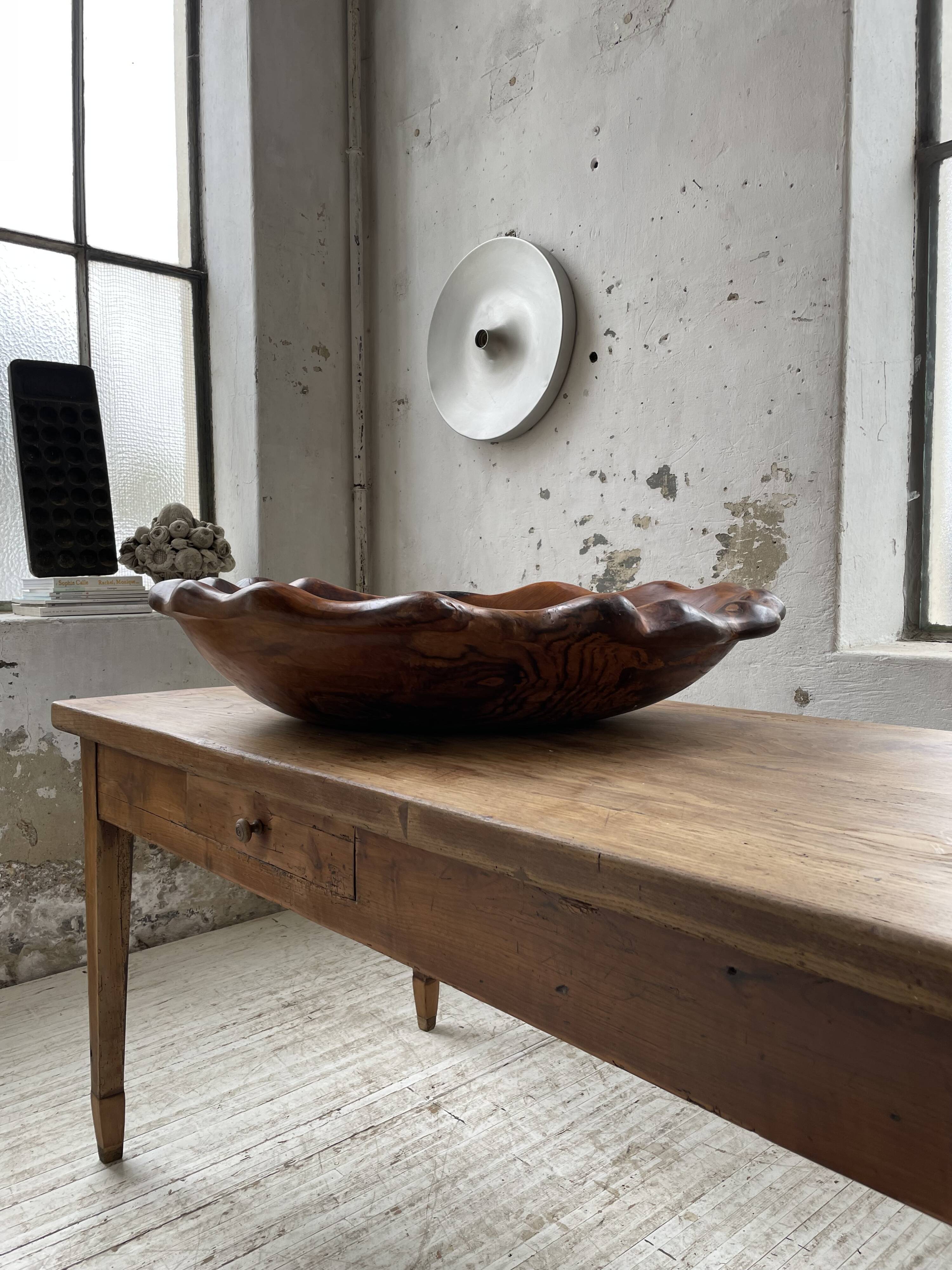 XL thuja root wooden dish