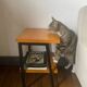 Industrial style metal bedside table