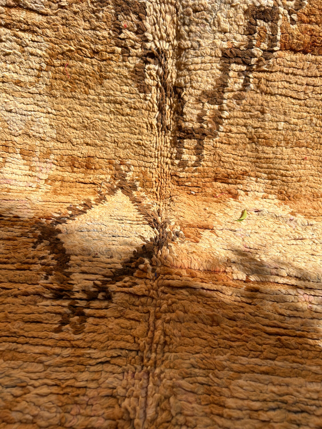 Saffron rug 360x177cm