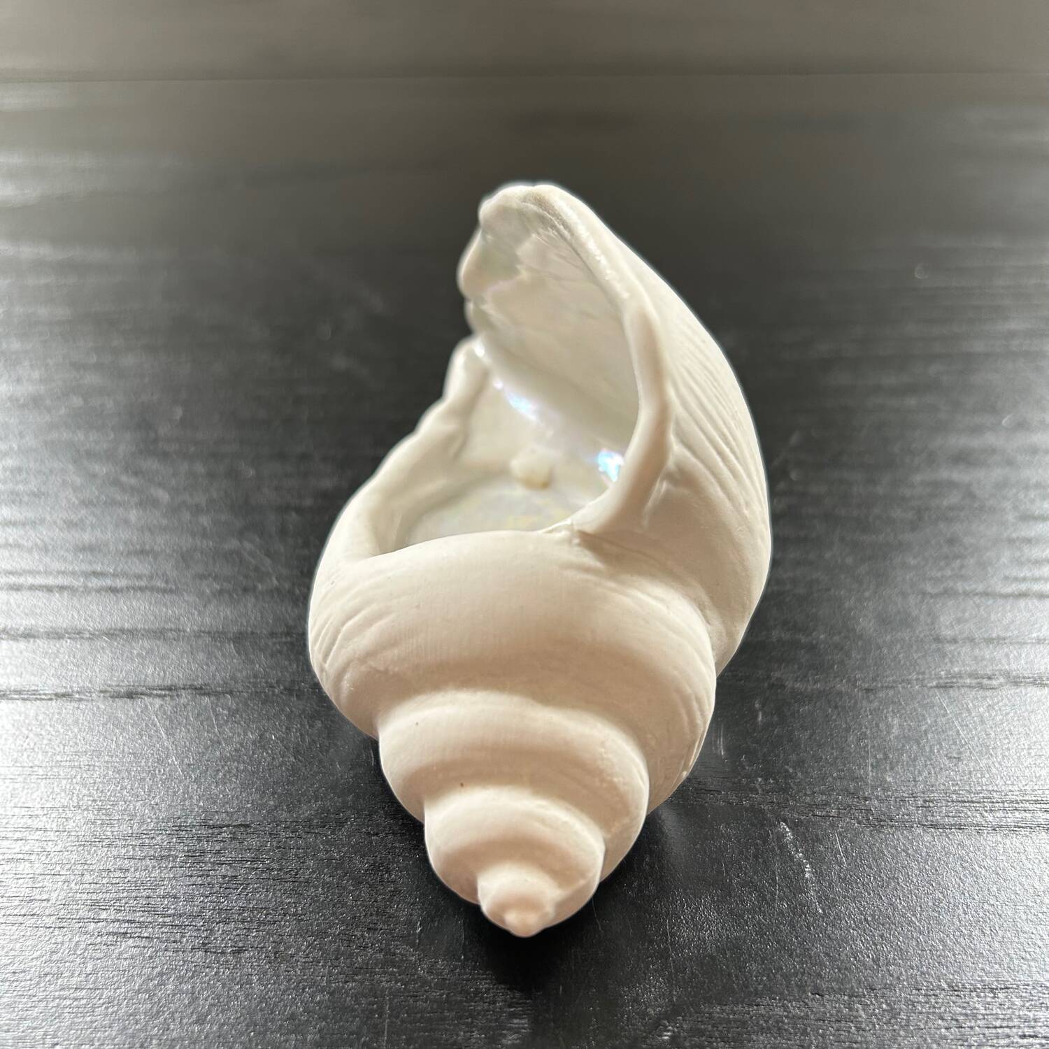 Biscuit shell candle holder