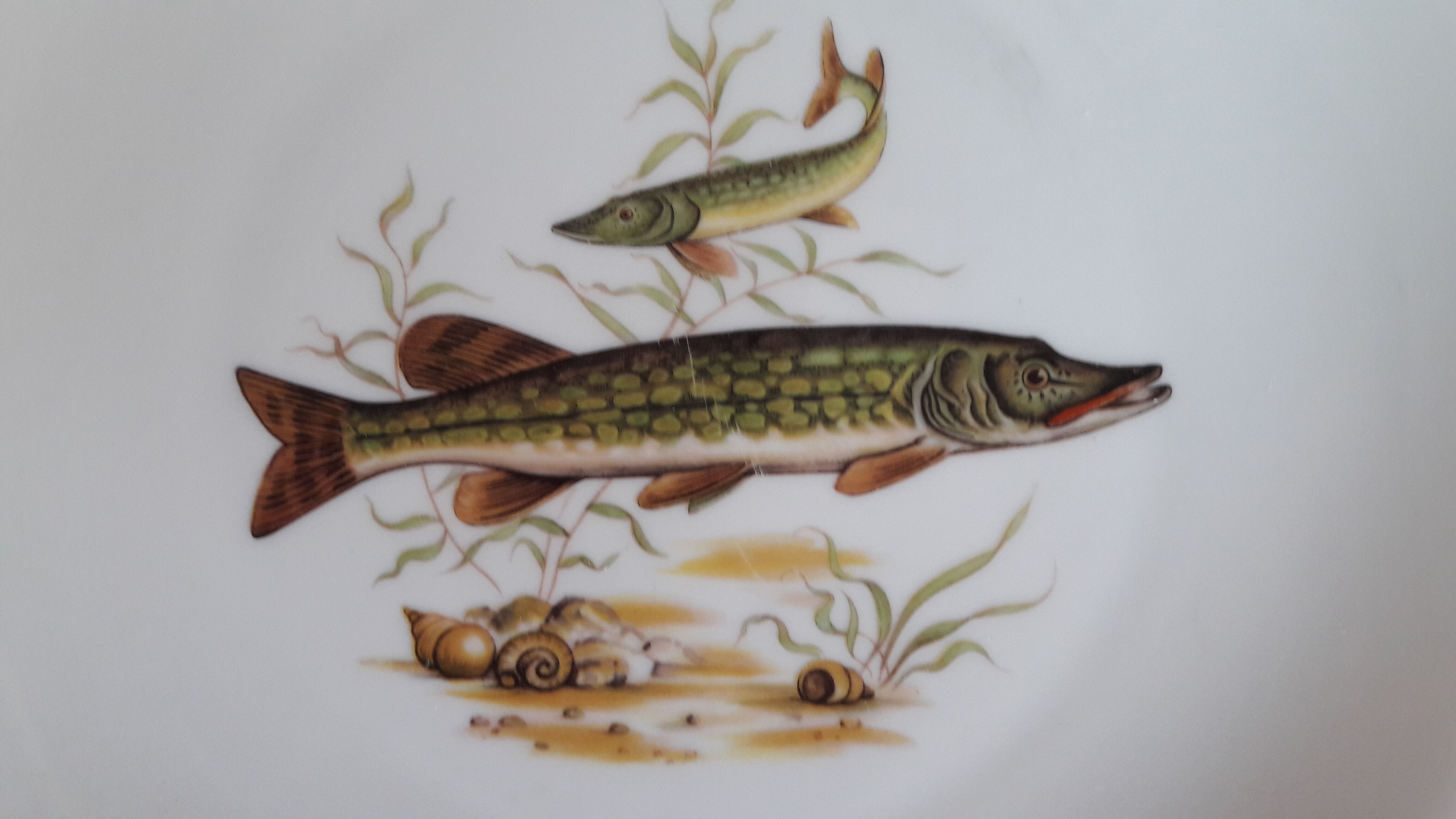 Ancient porcelain service fish theme