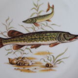 Service porcelaine ancienne thème Poissons