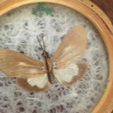 Six vintage butterfly coasters