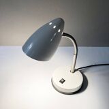 Flexible floor desk lamp