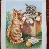 Zoological poster - gray and red tabby kittens