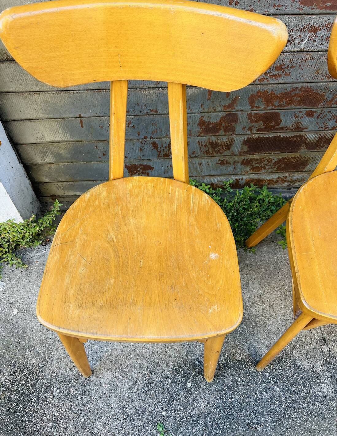 (Lot) 6 Bistro Chairs Lutherma Banana (Light Oak)