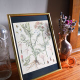Framed pharmaceutical poster