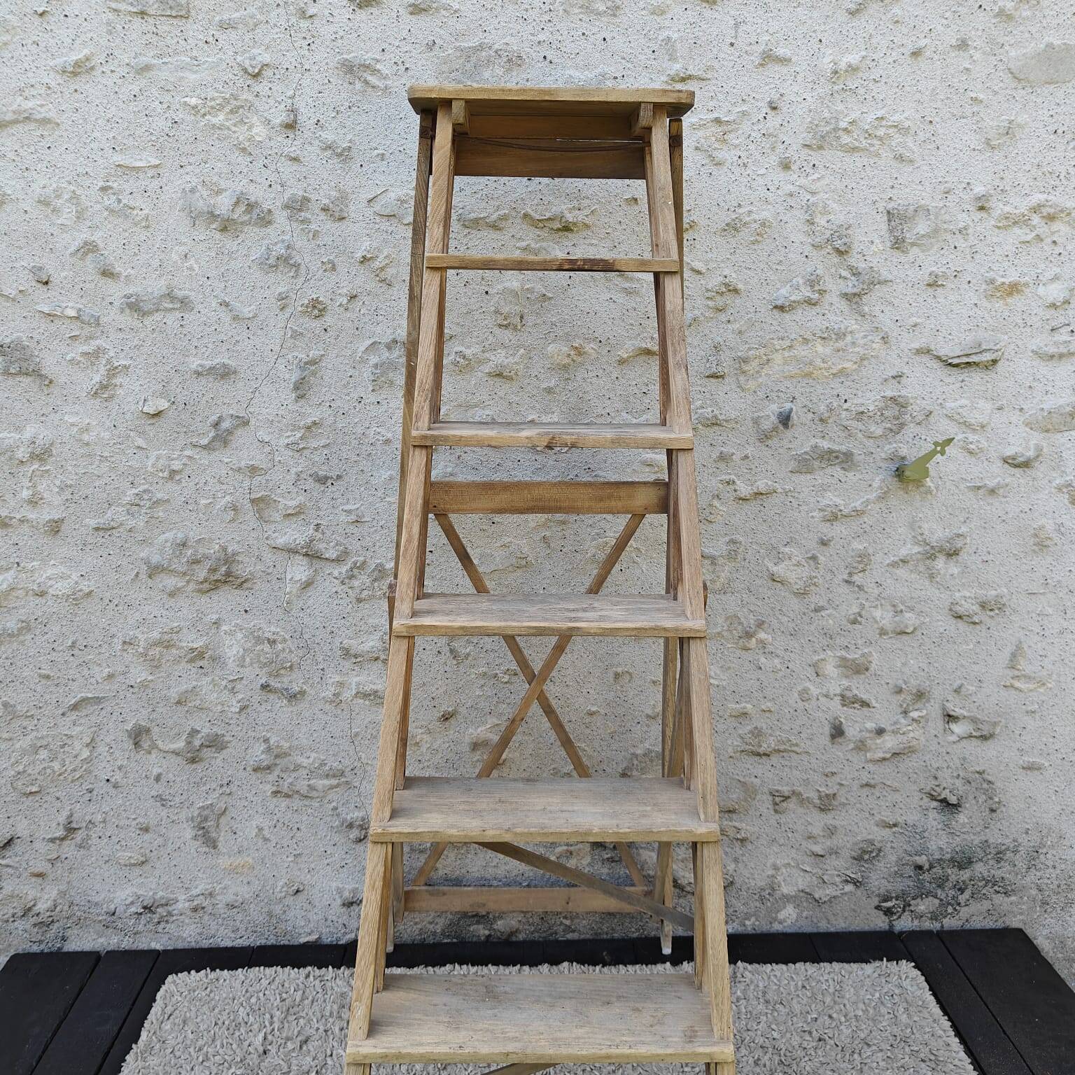 Large stepladder