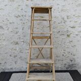 Large stepladder