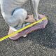 Large Sitting Greyhound Statue in Concrete / Cement - Garden Decoration or