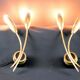 Pair of double brass wall lamp, tulip shape, France 1960's