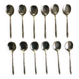 12 ERCUIS silver metal ice cream spoons